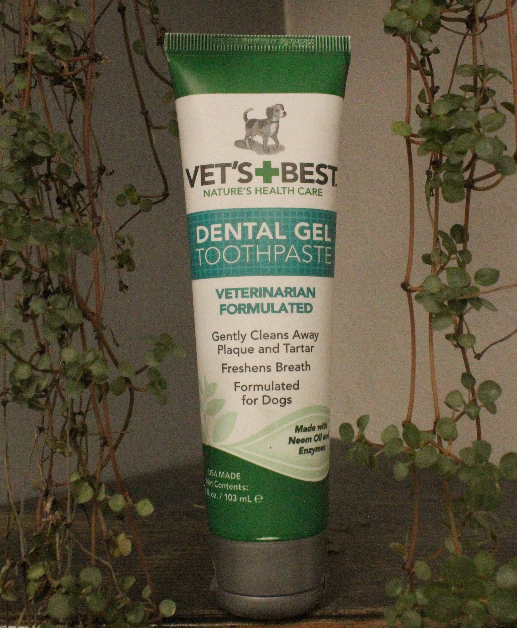 Vet s Best Dental Gel Toothpaste Vet Formulated My Site